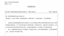 萨纳斯智维朝阳大屯电站项目获业主嘉奖，专业运维实力再获高度认可
